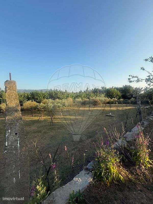 Terreno  para venda - Grande imagem: 4/8