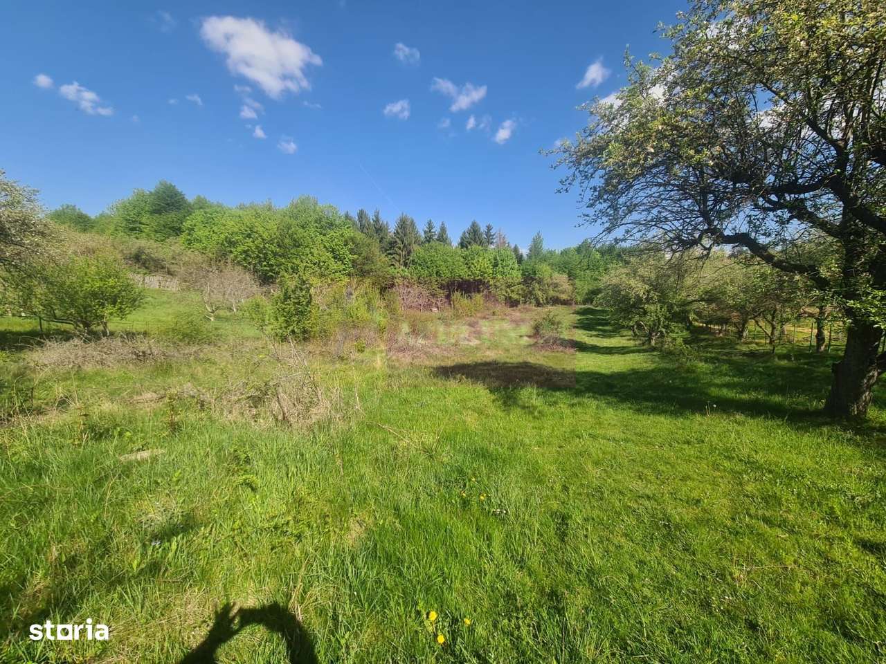 Teren de vanzare in Campina in zona retrasa - Imagine principală: 3/13