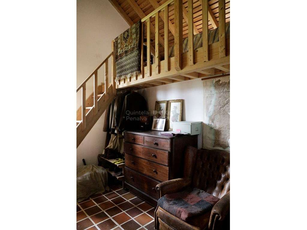 Quinta com duas propriedades adjacentes na Ribeira de Sintra - Grande imagem: 4/25