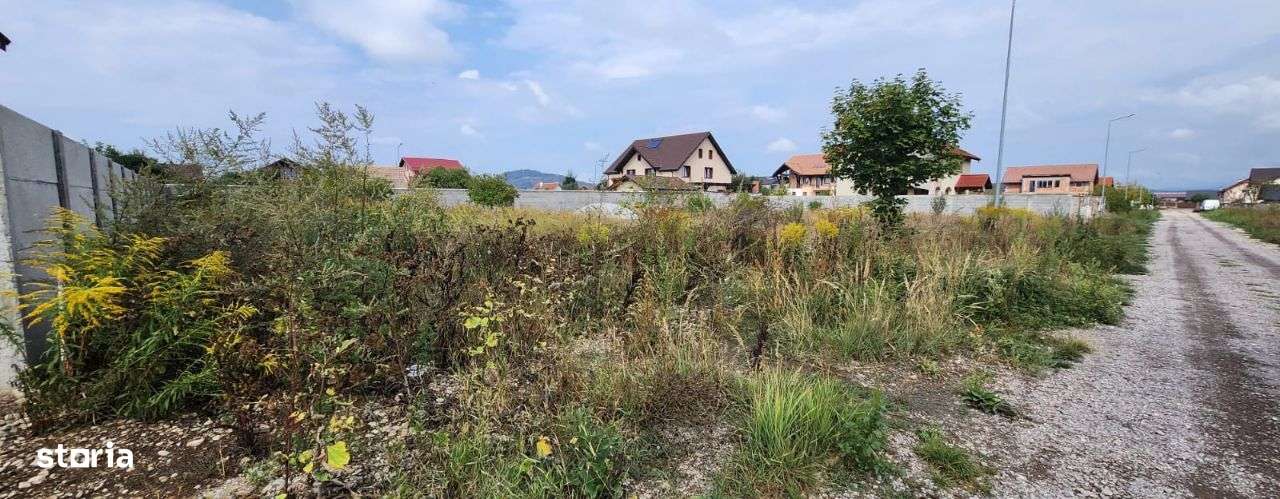 Teren Hărman str. Matei Basarab, 800 mp, utilități,  iluminat stradal. - Imagine principală: 2/4