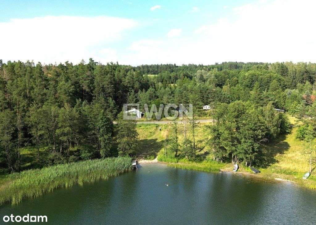 Na sprzedaż działka leśna we wsi Guty Rożyńskie - Pełny obrazek: 4/15