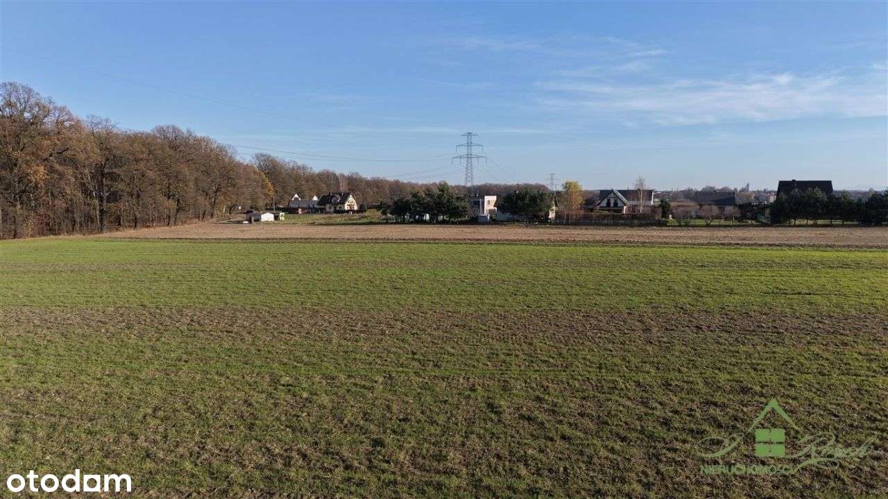 16 Działek Budowlanych – Orzesze, Ul. Truskawkowa-3