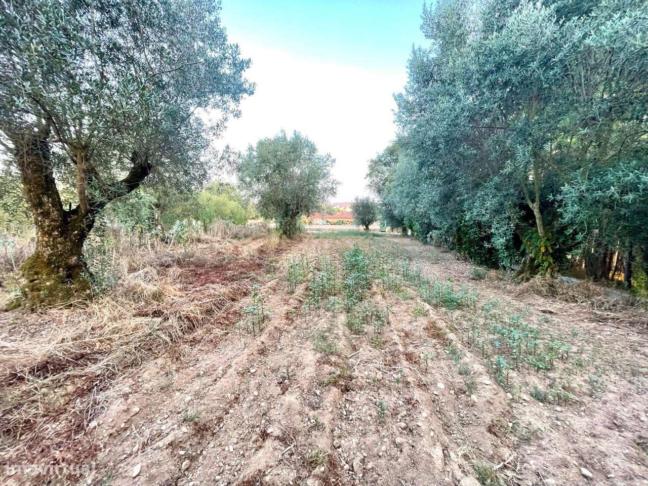 A sua Moradia Térrea de Sonho começa aqui!-5