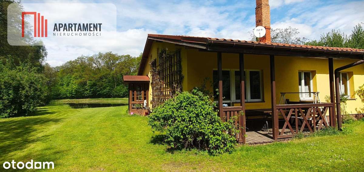 Dom z potencjałem na dużej działce! - Pełny obrazek: 4/17