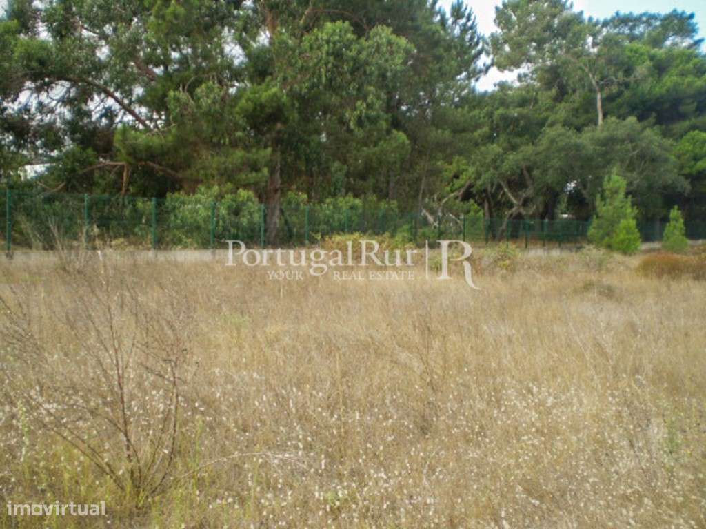 Terreno de 7500m2 para construção - Grande imagem: 3/7