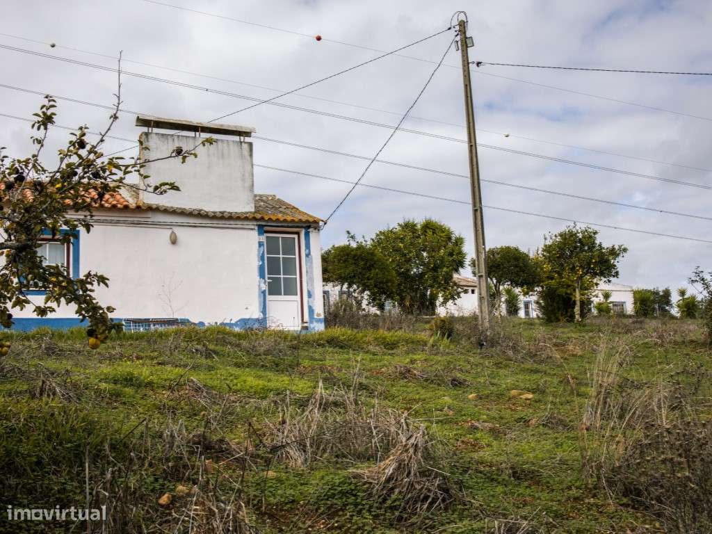 ** Fantástico Monte Alentejano com 50.000m2 Próximo a Maravilhosa C...-22