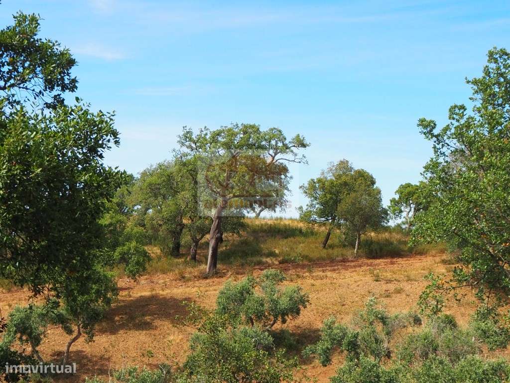 Monte Alentejano com vista mar a 10 minutos de Melides! - Grande imagem: 5/6