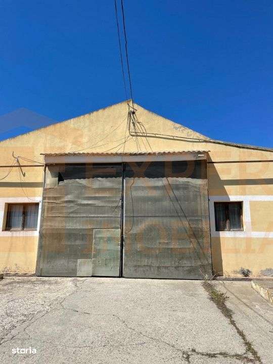 Hala situata in Ovidiu - Imagine principală: 4/19