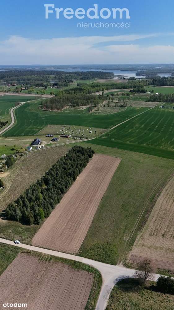 3 malownicze działki w Kamionkach k. Giżycka - Pełny obrazek: 5/14