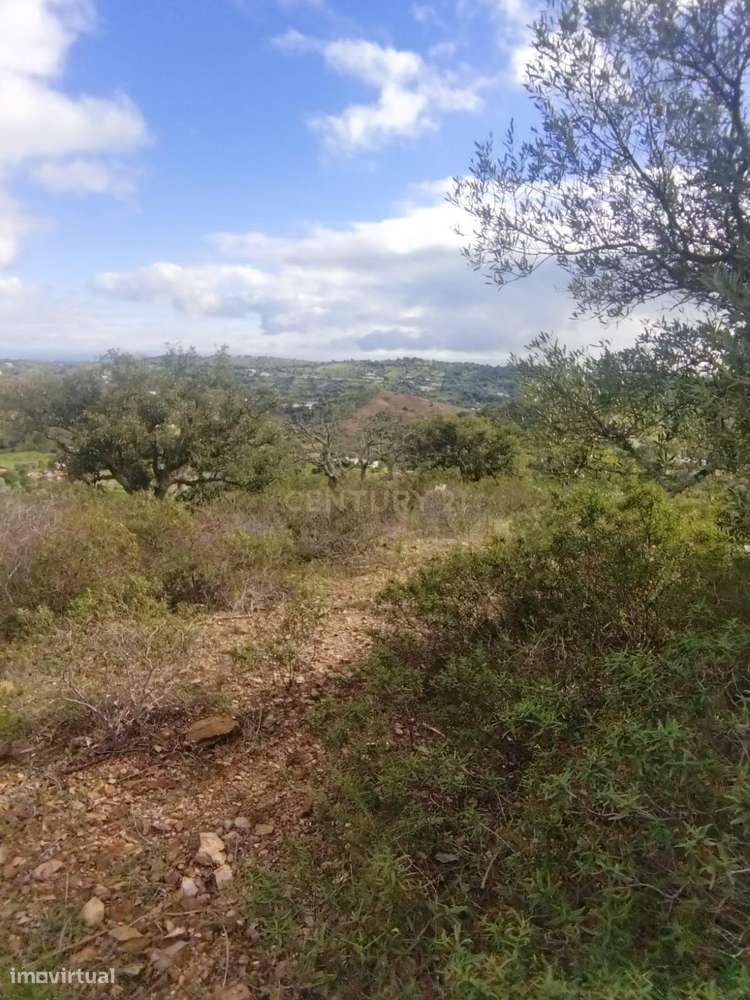 Terreno Rústico, 7500m2.  Santa Catarina da Fonte do Bispo, Tavira - Grande imagem: 4/6