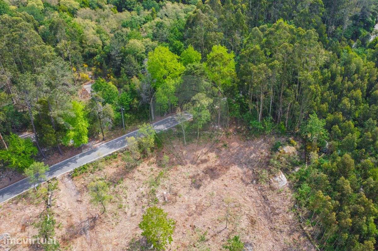 Terreno  para venda-9