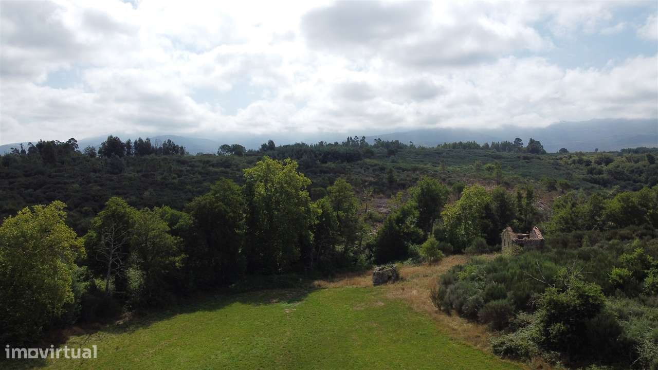 Quinta  Venda em Rio Torto e Lagarinhos,Gouveia - Grande imagem: 3/12