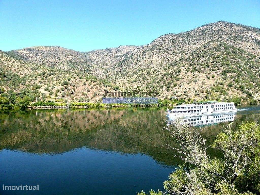 Quinta 98,7ha, Vinha, Turismo, rio Douro, Natureza imensa. Portugal... - Grande imagem: 4/9