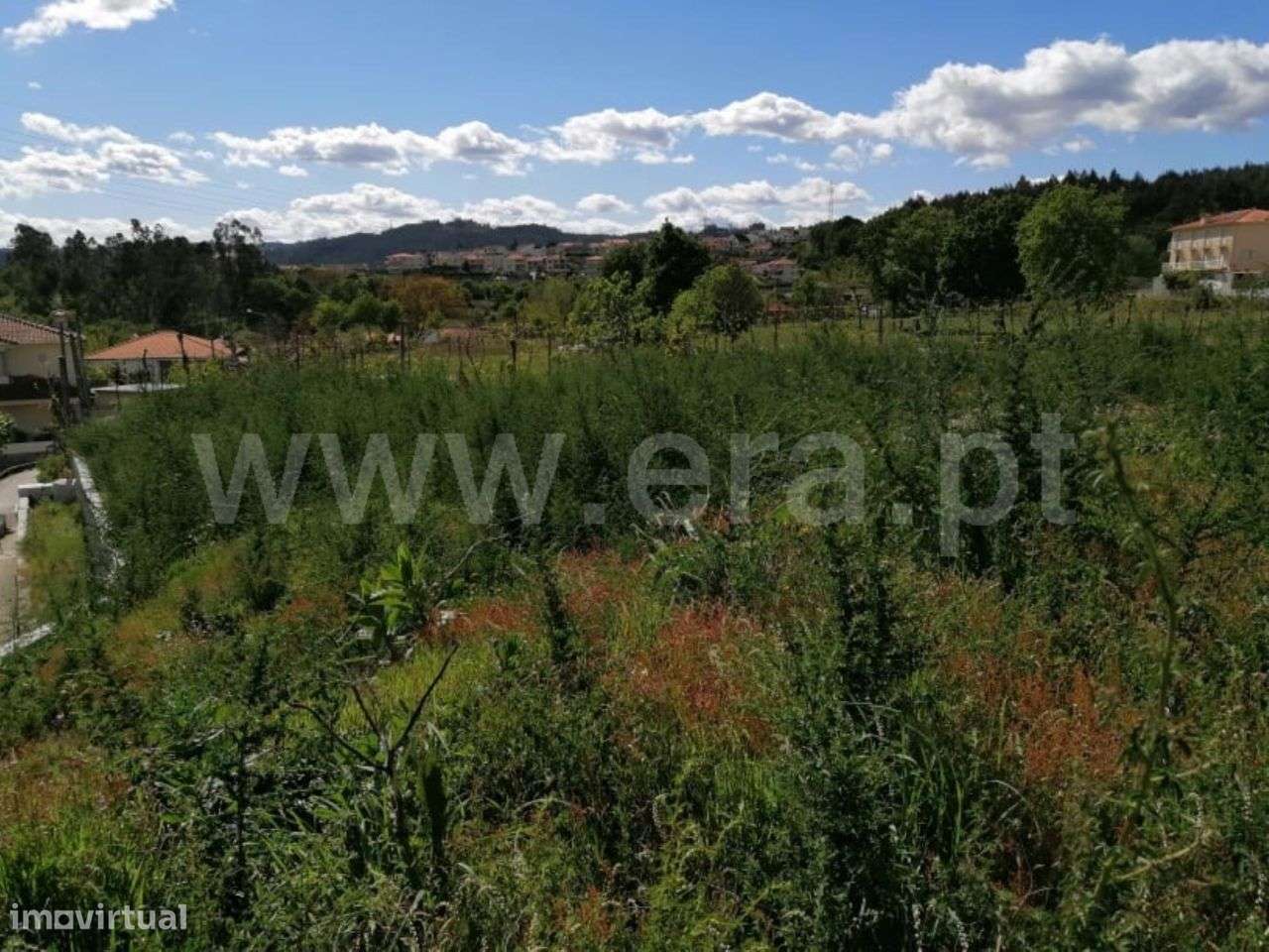 Terreno para construção com 886 m2 em Golães - Grande imagem: 5/9