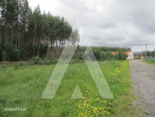 Terreno nos arredores de Águeda