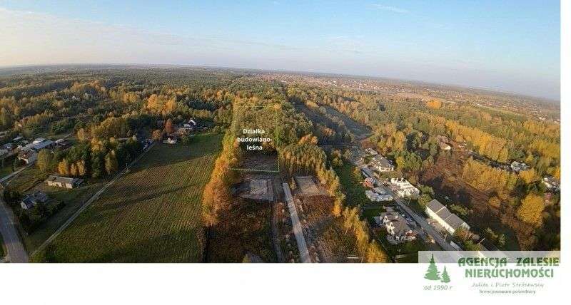 Krupia Wólka k/Zalesia Górnego malownicza posiadłość budowlano-leśna - Pełny obrazek: 4/4