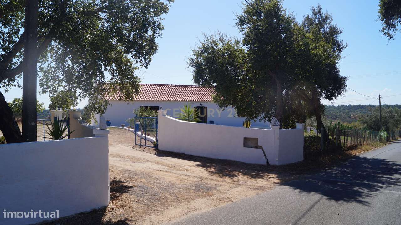 Monte/Terreno-Santiago Cacém, c/Vista Camp0 e Árvores Frutíferas - Grande imagem: 4/36