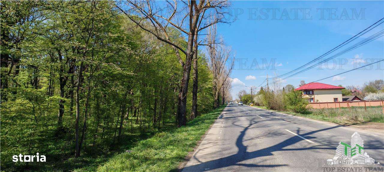 Teren constructii, 650 mp, langa padure, apa, gaze, curent, zona Cioro - Imagine principală: 4/5