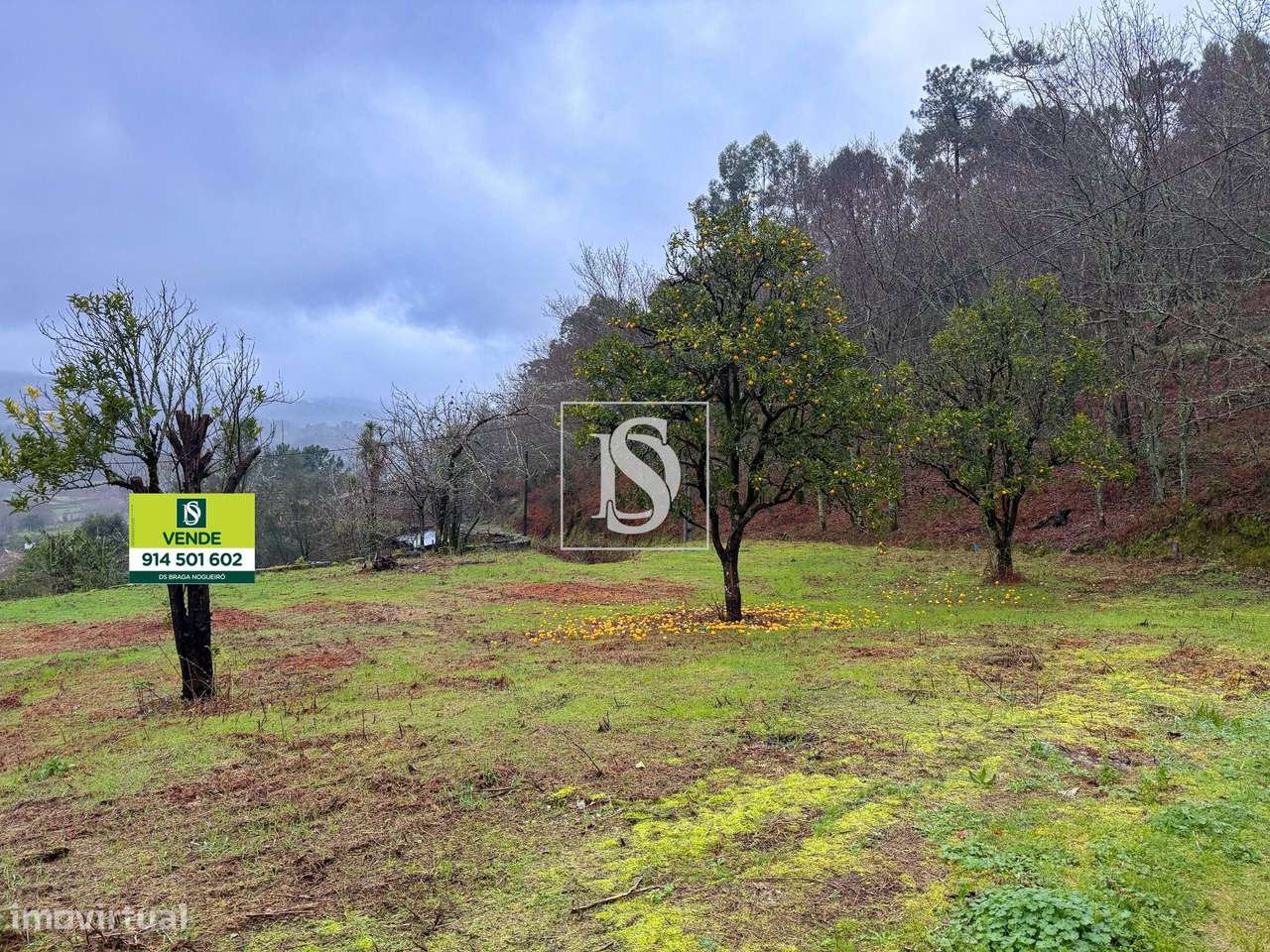 Terreno para construção - Grande imagem: 4/6