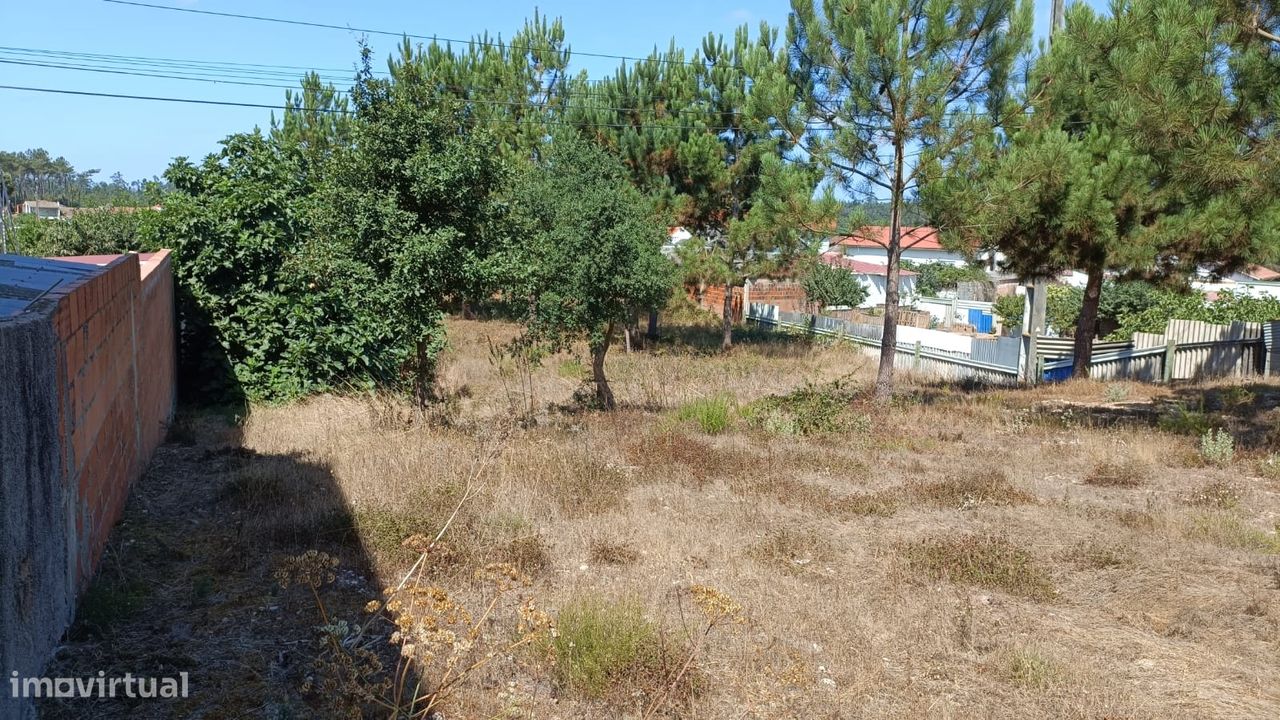 Terreno com 1.894 m2 / Amor / Leiria - Grande imagem: 11/11