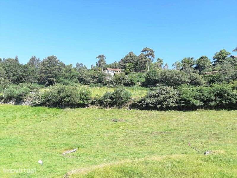 Terreno / Baião, Campelo e Ovil - Grande imagem: 3/13