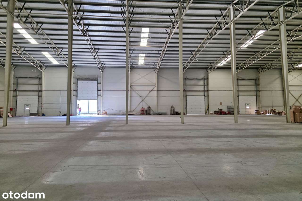 TURBO Hala Magazynowa 3 412 m² plus reszta. RAZEM: 5 128 m² - Pełny obrazek: 5/20