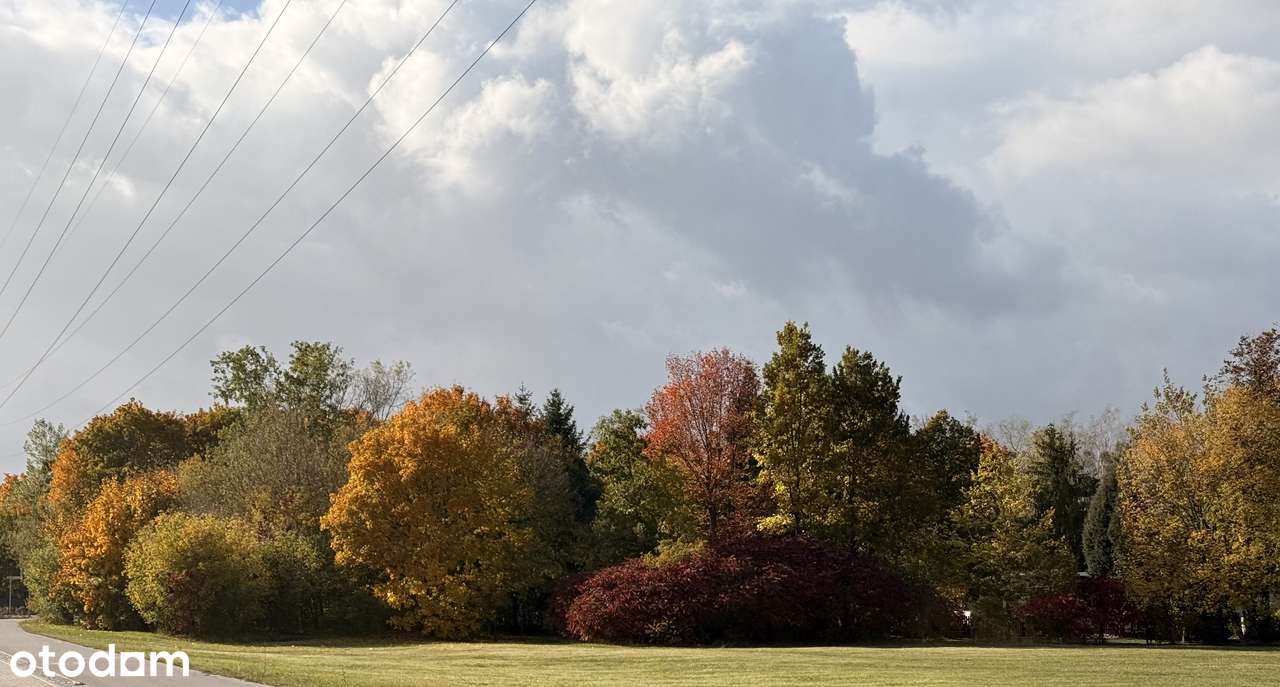 urokliwa działka na sprzedaż, Zawodne gmina Prażmów-0