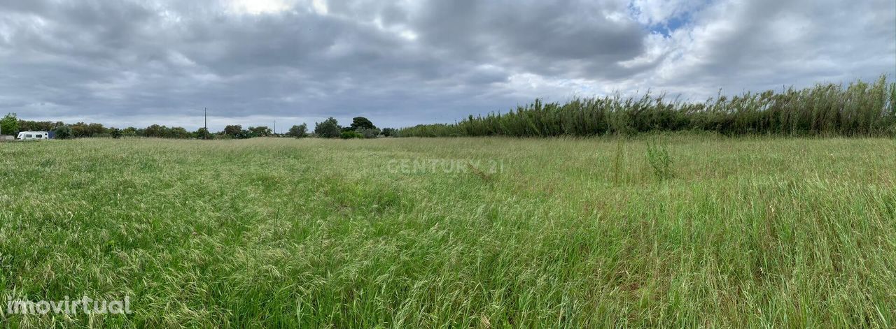 Terreno para fins agrícolas ou turísticos - Grândola