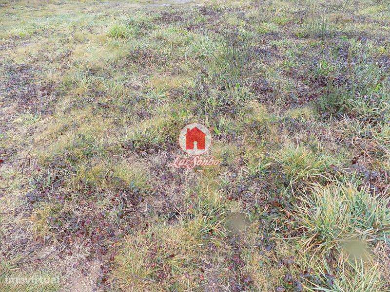 Terreno 800m2 em Cavalões - Grande imagem: 5/6