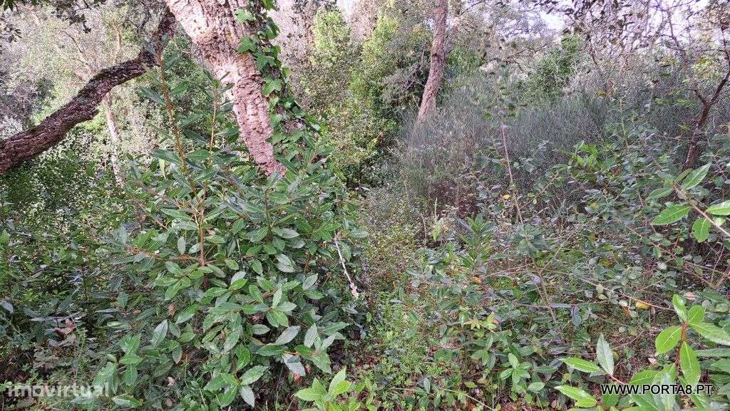Terreno, 562 m², Leiria, Pousos, Barreira e Cortes - Grande imagem: 2/9