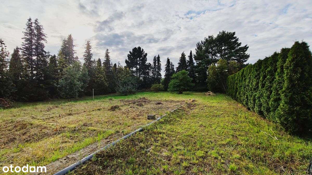 działka Gruszczyn|cicha,zielona i pełna możliwości-6