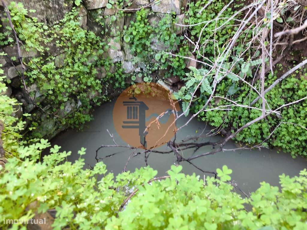 TERRENO RÚSTICO COM 29.400 M² - COM POÇO - LINHA DE ÁGUA - PARTE PL... - Grande imagem: 3/39