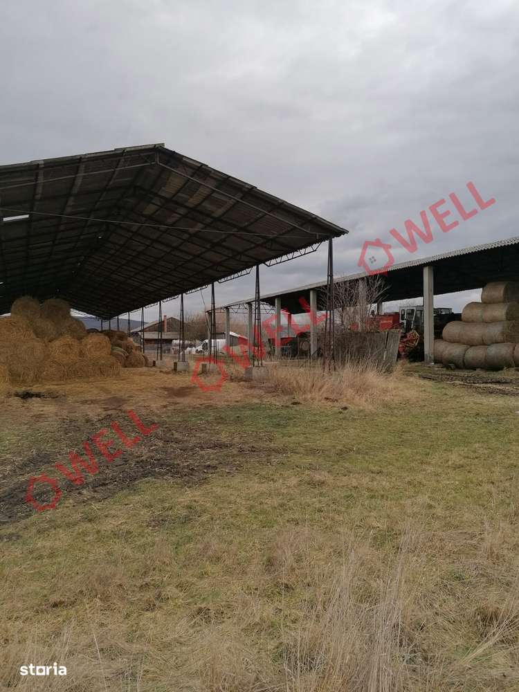 De vânzare 2 hale industriale în Sfântu Gheorghe, pe strada Recoltei! - Imagine principală: 5/5