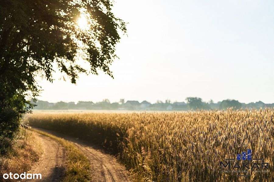 Działka budowlana blisko Opola - Pełny obrazek: 5/9