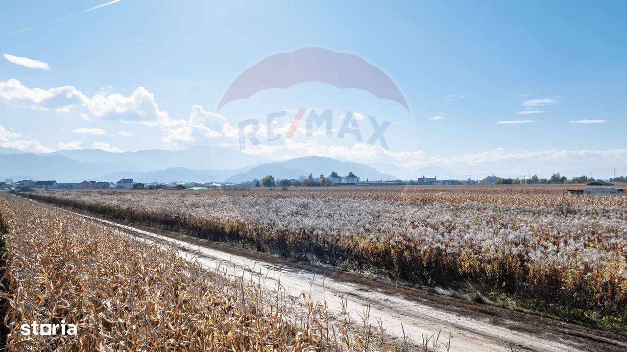 REZERVAT! Teren Brasov -Strada Aron Pumnul, 520 mp, - Imagine principală: 4/9