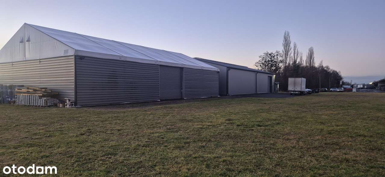 Hala produkcyjno-magazynowa w Tułowicach - Pełny obrazek: 4/5