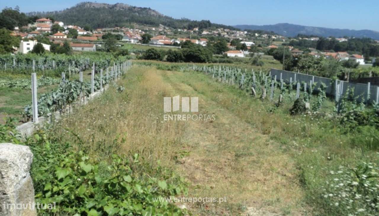 Venda de Terreno, Perre, Viana do Castelo - Grande imagem: 4/30