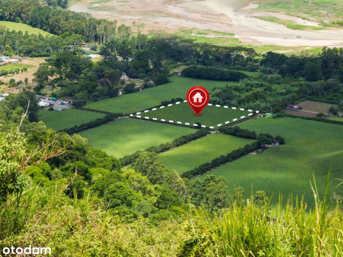 [GRZYBOWO] Działka 1254 m² blisko morza – Twój dom i biznes w jednym!-0