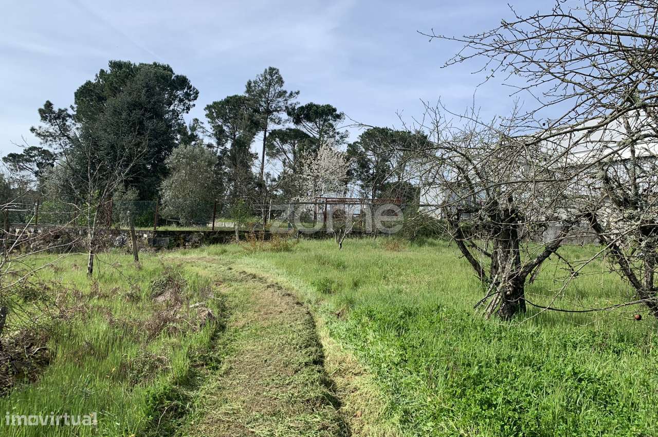 Terreno Urbanizável - Grande imagem: 5/16