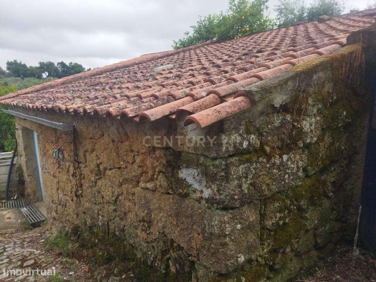 Terreno Rústico na Lousa, Castelo Branco-8
