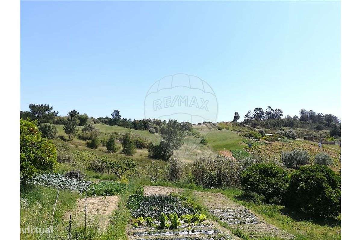 Terreno  para venda-7