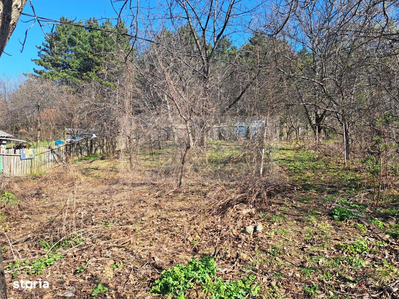 Casa batraneasca Bucium - 27000 - Imagine principală: 2/9
