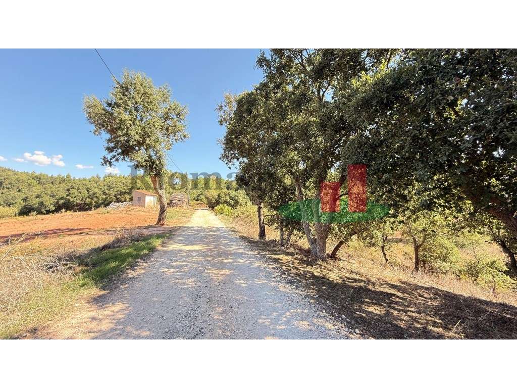 Terreno Alcobertas***RIOMAGIC*** - Grande imagem: 4/5