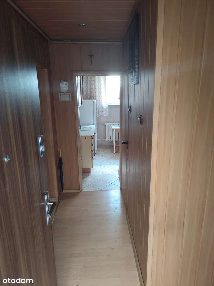 Zamieszkaj wśród zieleni – ciche i słoneczne mieszkanie na 4. piętrze - Pełny obrazek: 5/13