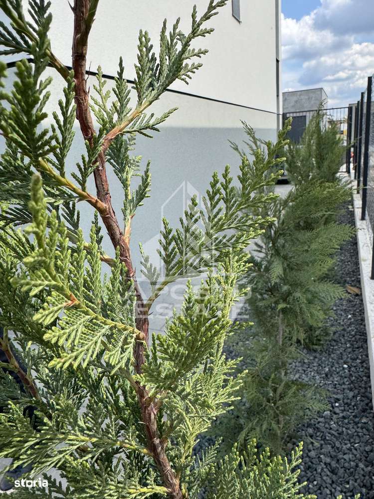 Duplex  modern despartit prin camera tehnica - Imagine principală: 2/20