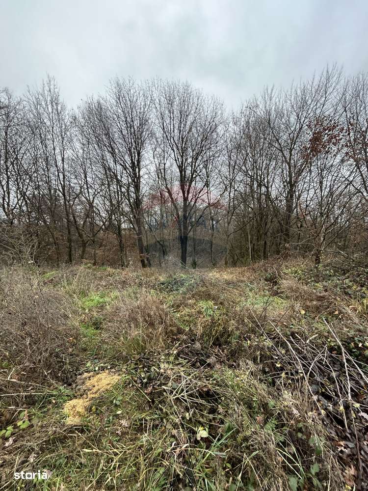 Teren 1,200mp si 400m2 cota drum Satu Nou de Jos / Strada Principala-7