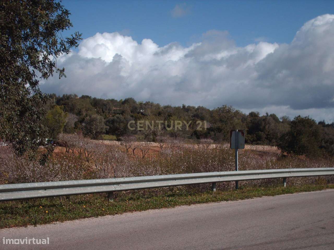 Terreno bem localizado - Grande imagem: 4/16