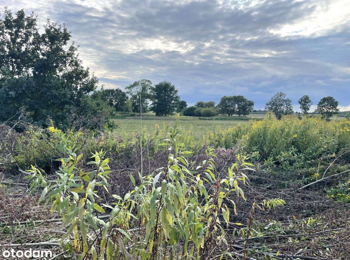 gm.Czernichów, Wołowice, budowlana, 10, 4 a, media, malownicza okolica-3