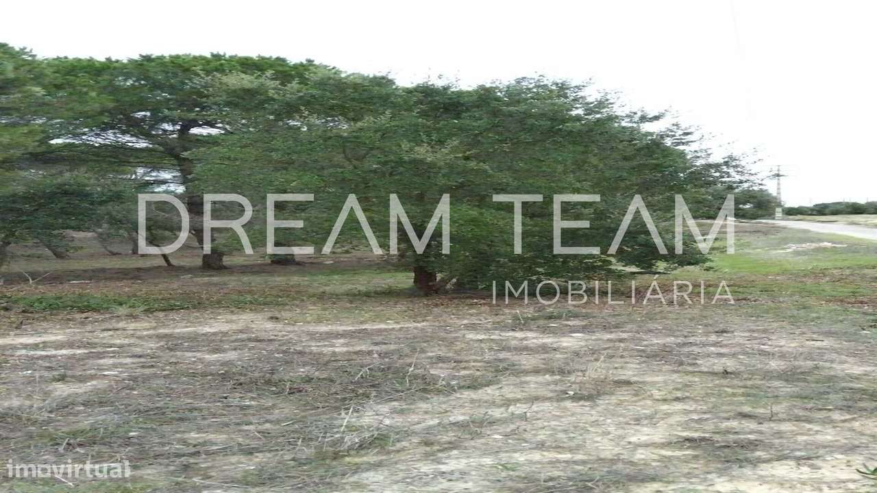 Terreno Urbano para Construção – Palhais-Coina | Viabilidade para 27 F-8