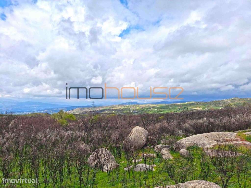 Terreno de 84 hectares-40